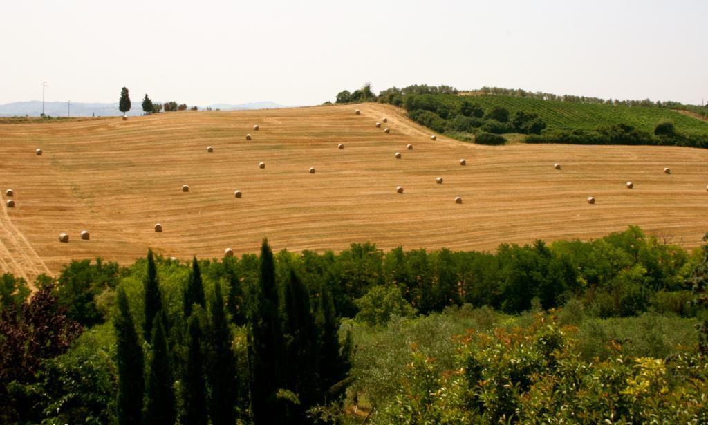 Podere Gattabigia ลาสตรา อา ซินญา ภายนอก รูปภาพ